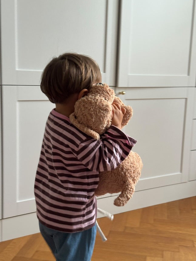 LONGSLEEVE STRIPED BLUSH/BROWN