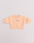 TINY DACHSHUND SWEATER APRICOT