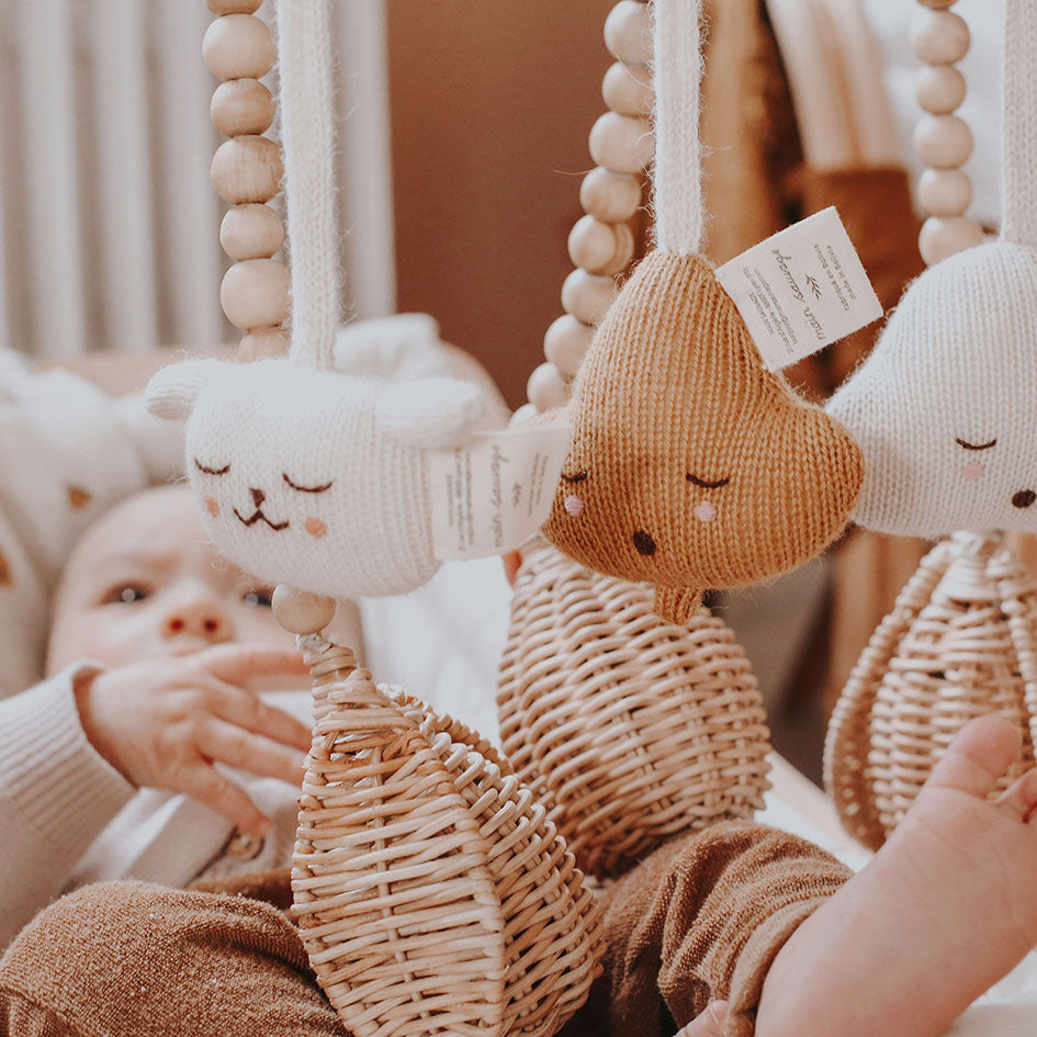 HANGING RATTLE TOY