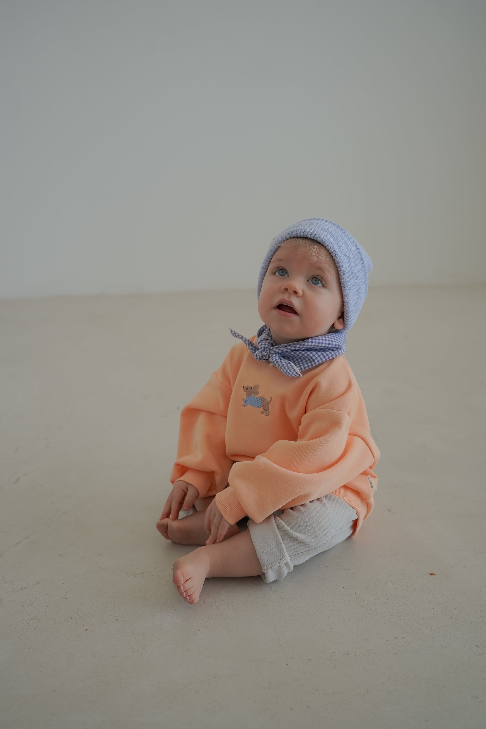 TINY DACHSHUND SWEATER APRICOT