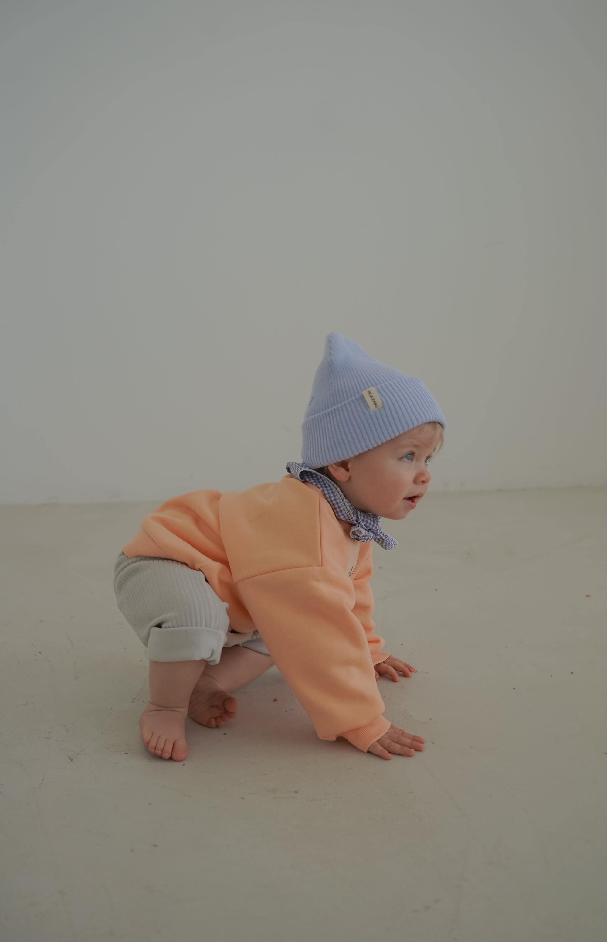 TINY DACHSHUND SWEATER APRICOT