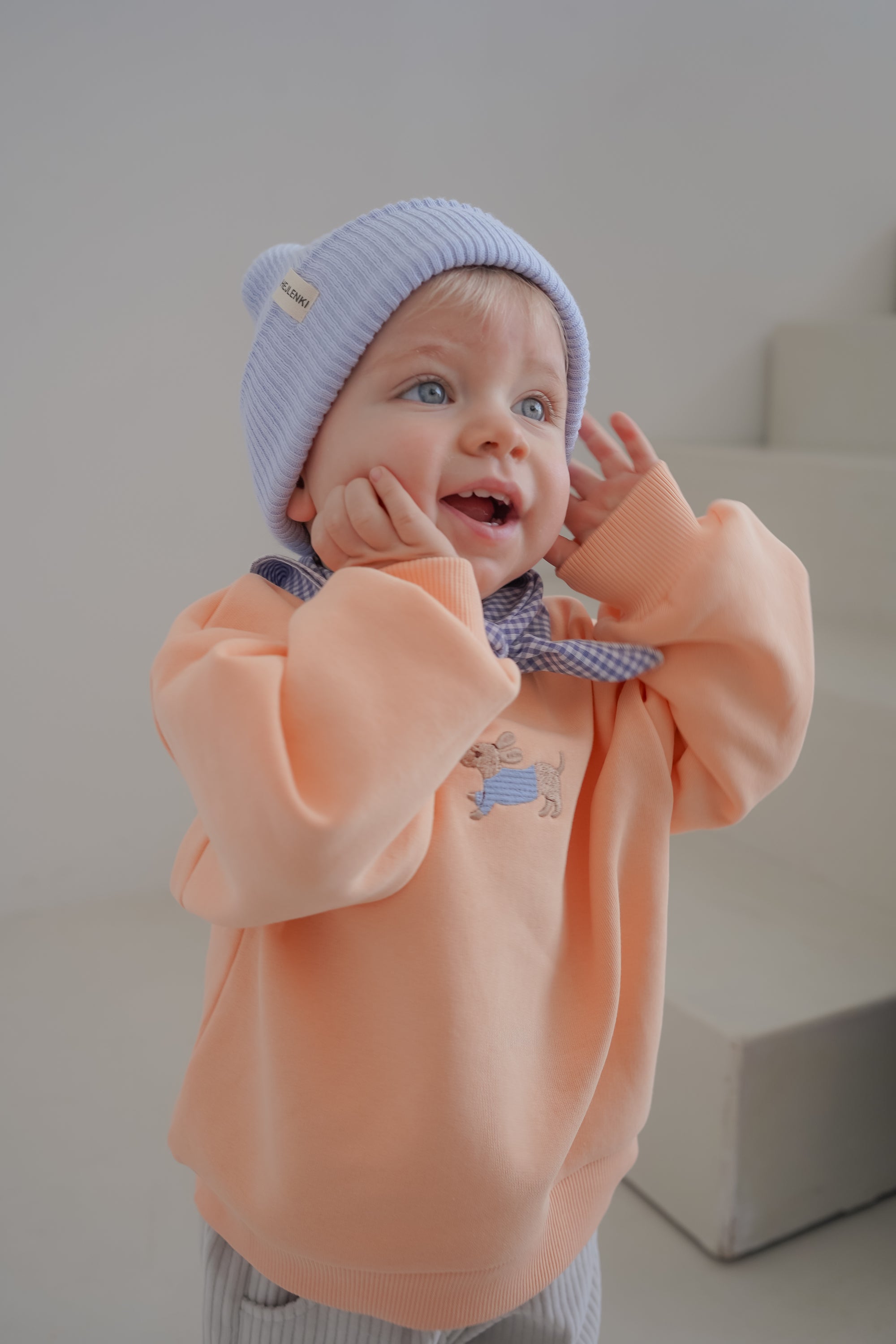 TINY DACHSHUND SWEATER APRICOT