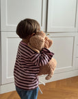 LONGSLEEVE STRIPED BLUSH/BROWN