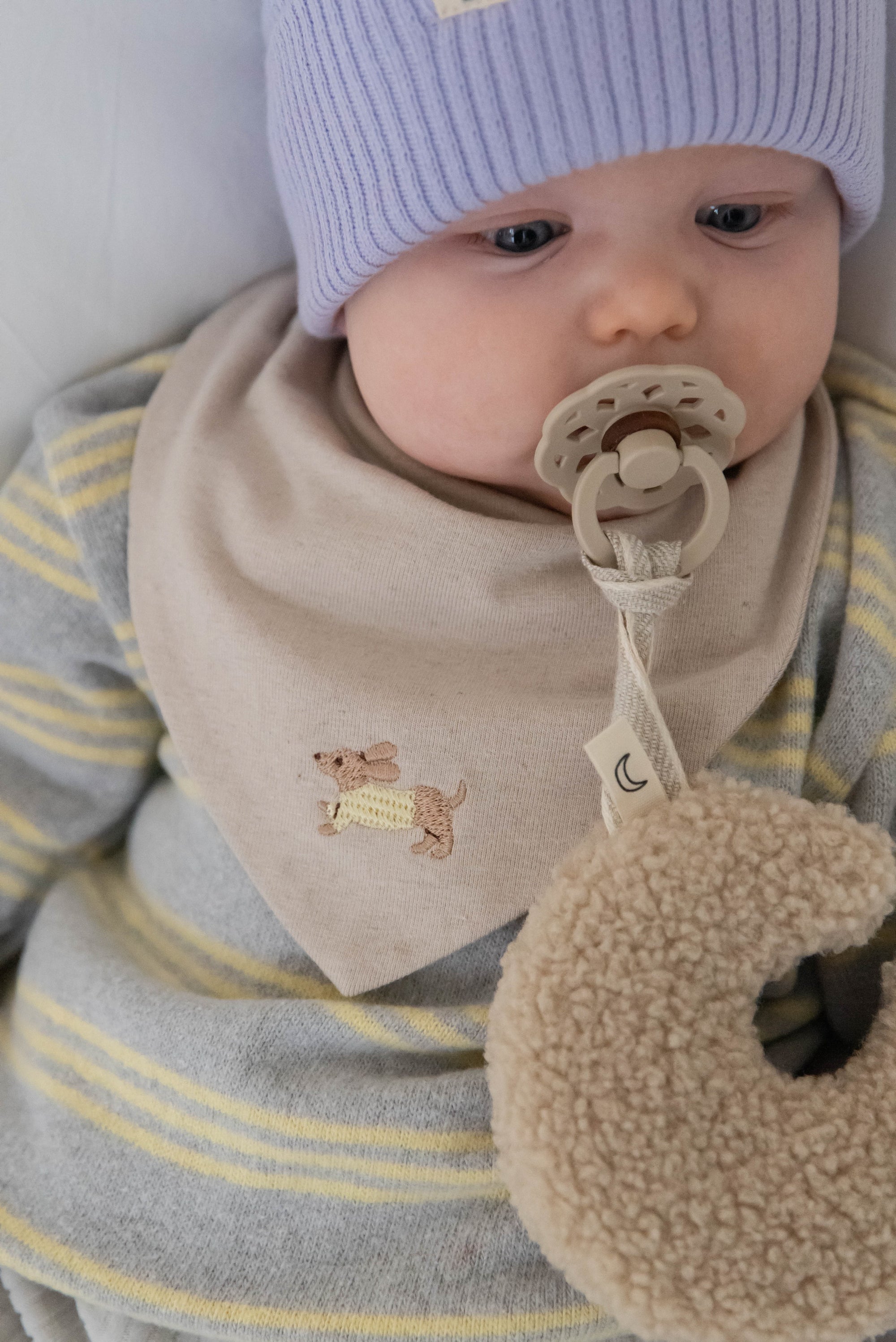 BANDANA LITTLE DACHSHUND