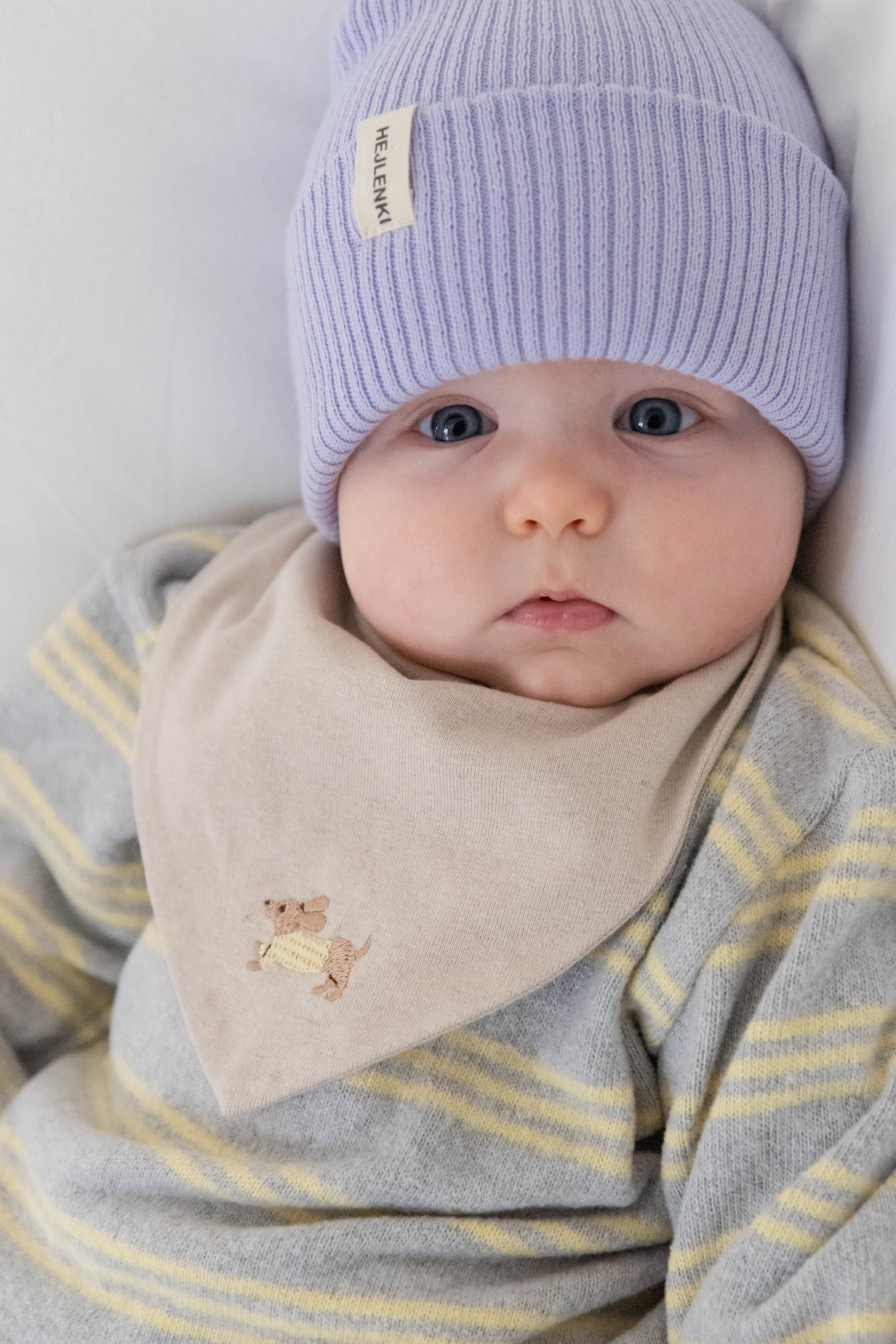 BANDANA LITTLE DACHSHUND