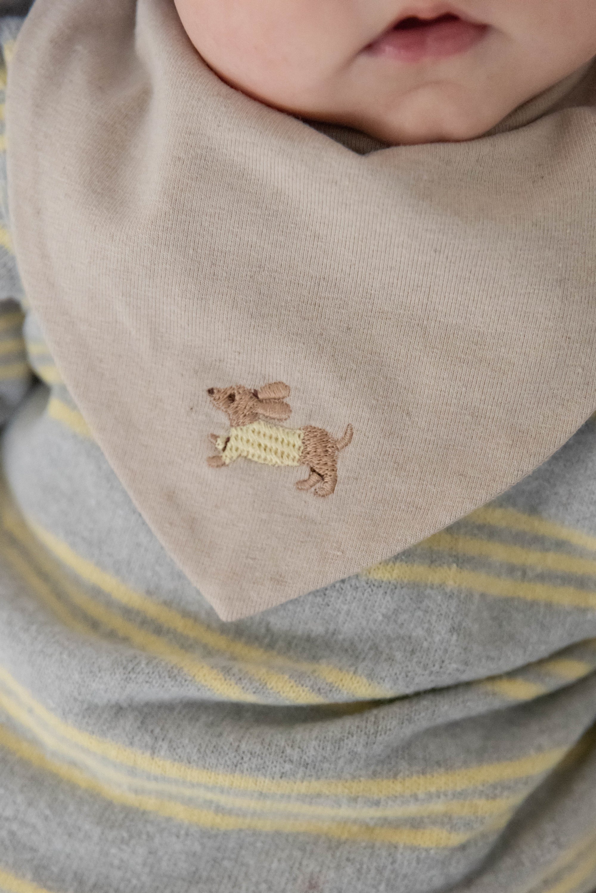 BANDANA LITTLE DACHSHUND