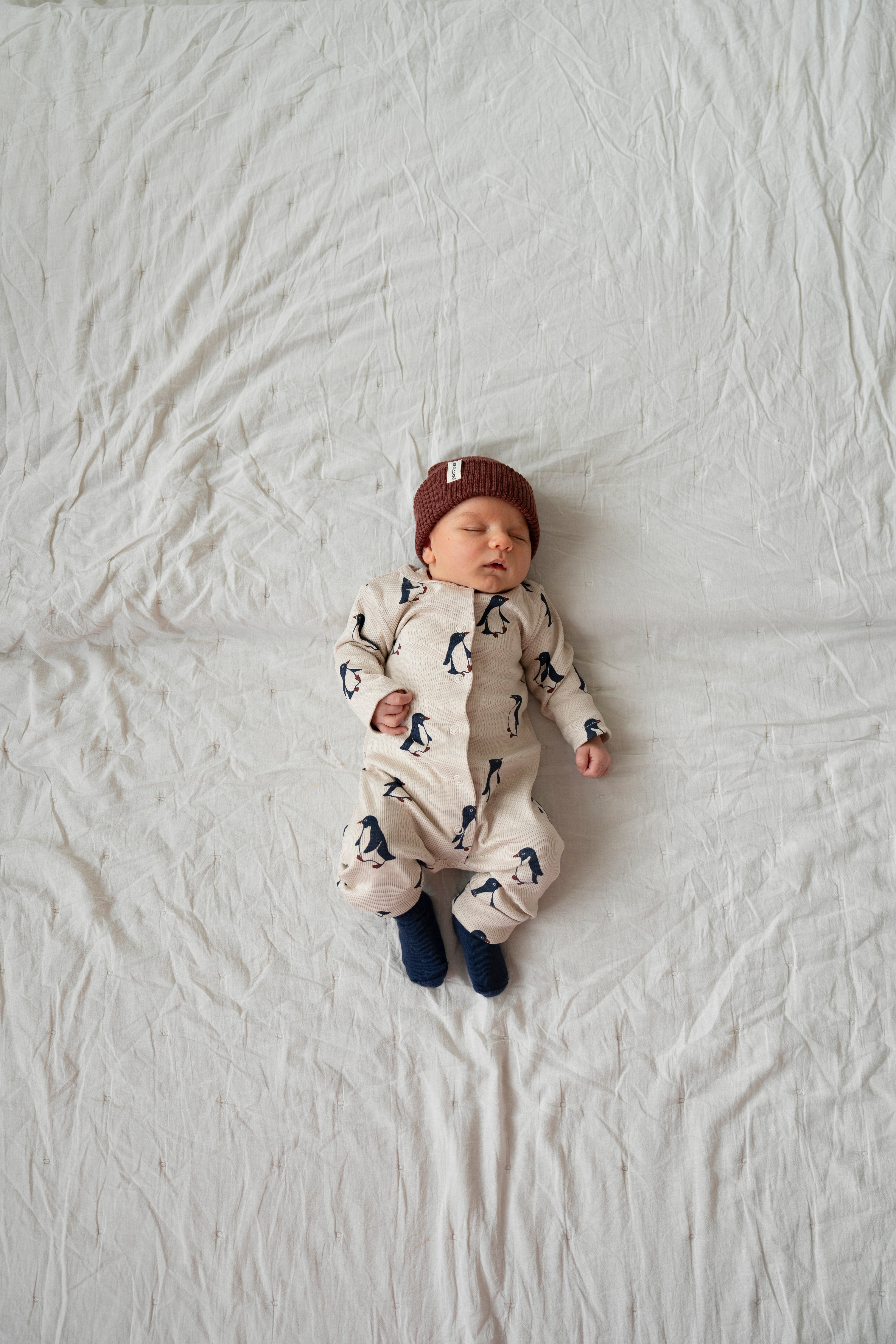 RIB ONEPIECE PENGUIN