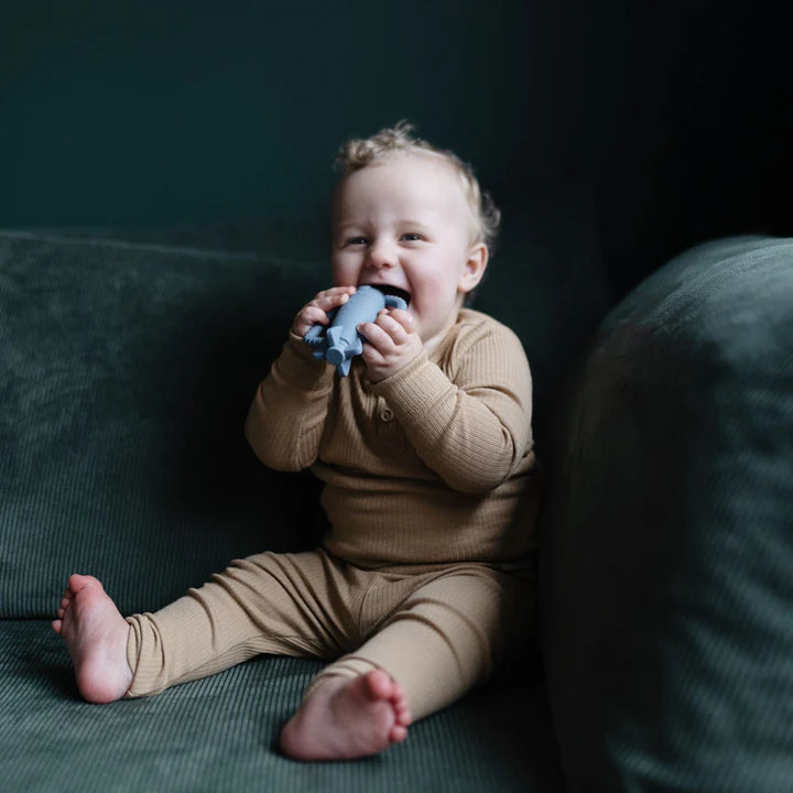 RATTLE TEETHER